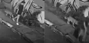 Joven cae en alcantarilla en Brasil mientras paseaba a su perro