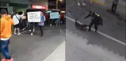 Justicia por 'Tigre': velatón y protesta en Rionegro tras muerte de perro por policía