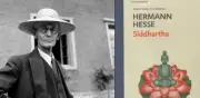 La paciencia supera a la inteligencia: la lección de Hermann Hesse para la felicidad
