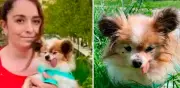 Lazare, el perro más longevo del mundo, encuentra un nuevo hogar en Francia