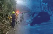 Lluvias en Cali: autoridades reportan emergencias en norte y oeste