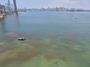 Mancha en Castillogrande sería de origen biológico, según DIMAR