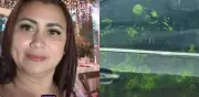 Manchas verdes en el carro de Yulixa Toloza: ¿qué significan?