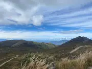 Ministerio declara Zona de Reserva Temporal en Páramo Almorzadero