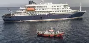 MinSalud confirma que hantavirus no ha llegado a Colombia tras brote en crucero