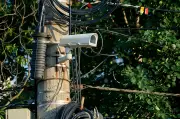 Más de 7,5 millones de fotomultas bajo investigación en Colombia por irregularidades