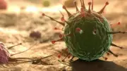OMS declara emergencia internacional por brote de ébola en África