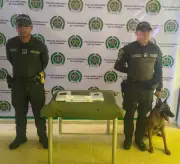 Perro antidrogas 'Killer' detecta marihuana en encomienda en Cartagena