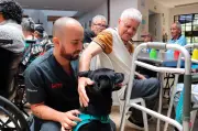 Perros de terapia transforman la rutina en hogar geriátrico y hospital infantil de Medellín