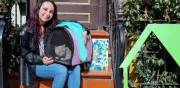 Perros y gatos rescatados buscan hogar en jornada de adopción en Chapinero
