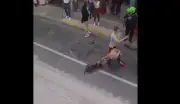 Policía suspendido por disparar a perro en Rionegro genera indignación