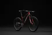 ¿Por qué una bicicleta puede costar hasta 60 millones?