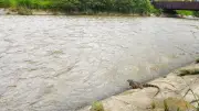 Preocupación por 13 cuerpos hallados en el río Medellín en 2026