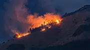 Preocupación por incendios forestales en Bello, Antioquia