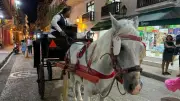 Procuraduría respalda demanda contra uso de animales en turismo
