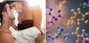 ¿Qué ocurre con las hormonas del placer tras una semana sin sexo?