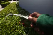 Racionamiento de agua en Cartagena el 14 de mayo: barrios afectados y horarios