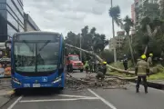 Árbol cae sobre bus del SITP en el norte de Bogotá y genera caos vial