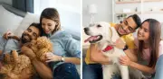 Registro obligatorio de mascotas en Colombia: multas de hasta $523.000