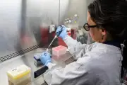 Ruta de pareja neerlandesa fallecida por hantavirus: Chile, Uruguay y Argentina