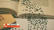 Sabiduría: de la repetición vacía a la transformación profunda