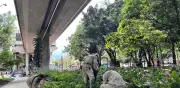 Sistema de riego por gravedad bajo el Metro de Medellín mantiene 10.000 plantas