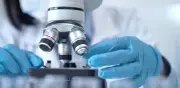 Terapia experimental elimina el cáncer de riñón más agresivo en un paciente