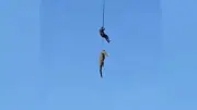 Trasladan en helicóptero a cocodrilo que devoró a empresario en Sudáfrica