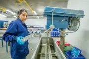 UIS se posiciona sexta en ranking nacional de investigación U-Sapiens 2026-1