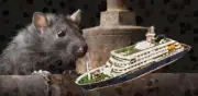Vacuna contra hantavirus: lo que se sabe del brote que ya deja dos muertos