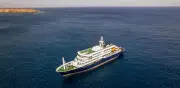 Video: capitán de crucero con hantavirus informa primera muerte y descarta contagio