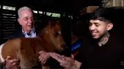 Westcol entrevista a Uribe: regalo de pony y preguntas sobre falsos positivos