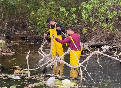 Alerta por humedales de Playa Dormida en Santa Marta: riesgo de desaparición