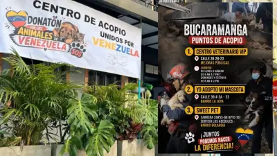 Bucaramanga se une con donatón para mascotas afectadas por terremoto en Venezuela