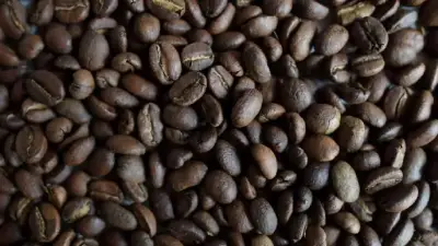 Cancillería impulsa el café y cacao colombiano en mercados internacionales