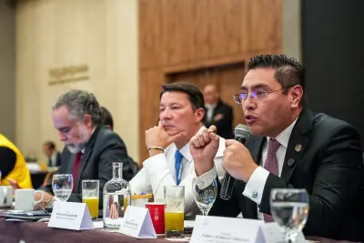 CNE y Registraduría se pronuncian sobre fallo que prohibe uso de símbolos patrios en campaña