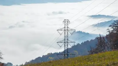 Colombia avanza en interconexión eléctrica con Venezuela desde Vichada