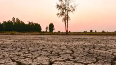 Confirmado: El Niño récord amenaza Colombia con sequía e incendios