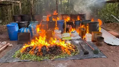 Destruyen cuatro laboratorios de coca en Vichada; afectan finanzas de disidencias