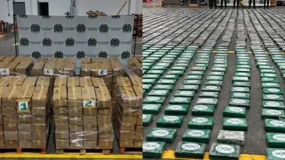 Economía de la cocaína supera al petróleo en Colombia: US$16.500 millones