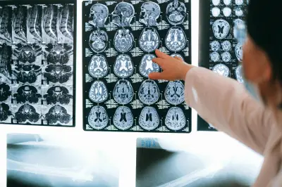 El cerebro bilingüe procesa idiomas con patrones distintos