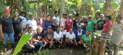 Forestería comunitaria: el bosque como fuente de vida y desarrollo sostenible en Chocó