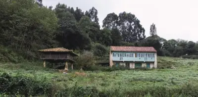 Informalidad en tierra rural: 52,2% sin seguridad jurídica en Colombia