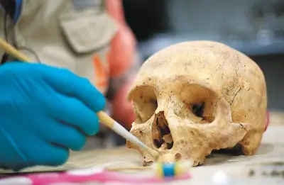 La peste ya afectaba a cazadores-recolectores hace 5.500 años en Siberia