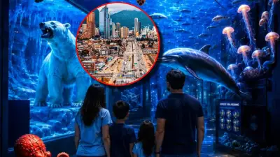 Mar en Bogotá: realidad virtual y juegos para conocer los océanos