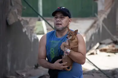 Patitas a Salvo: plataforma para reportar mascotas perdidas tras sismos en Venezuela