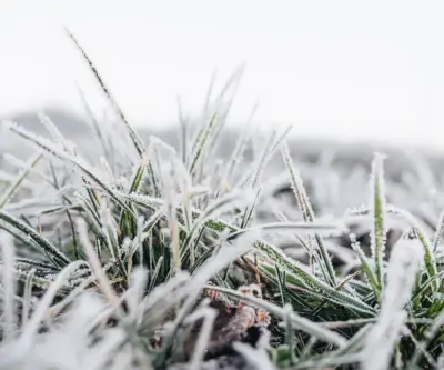Posibles nevadas en Uruguay por ola de frío polar esta semana