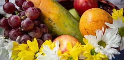 Raíces 2026: programa une a España y Latinoamérica para impulsar startups agroalimentarias
