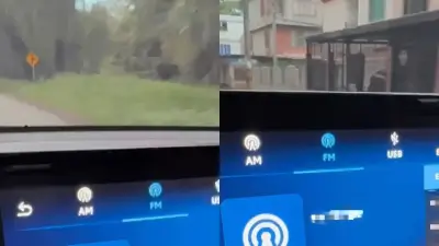 Reaparece emisora pirata de disidencias de Farc en Cauca y Valle