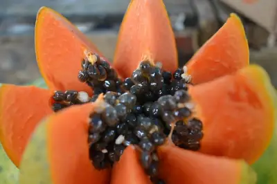Semillas de papaya: ¿se comen o se botan? Usos en la cocina